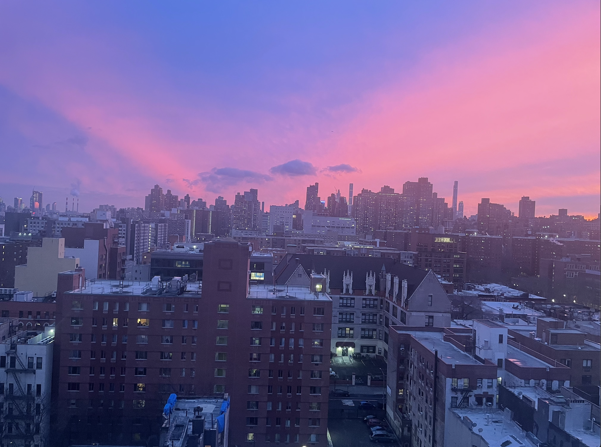 The diverse flavor of NYC